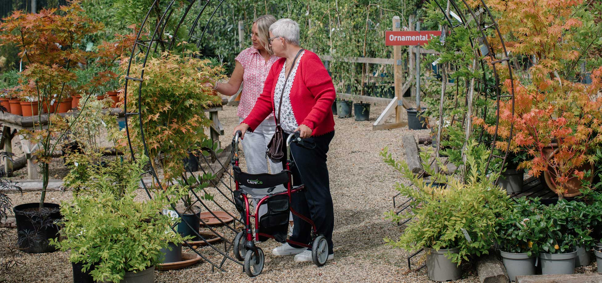 Home Care Services